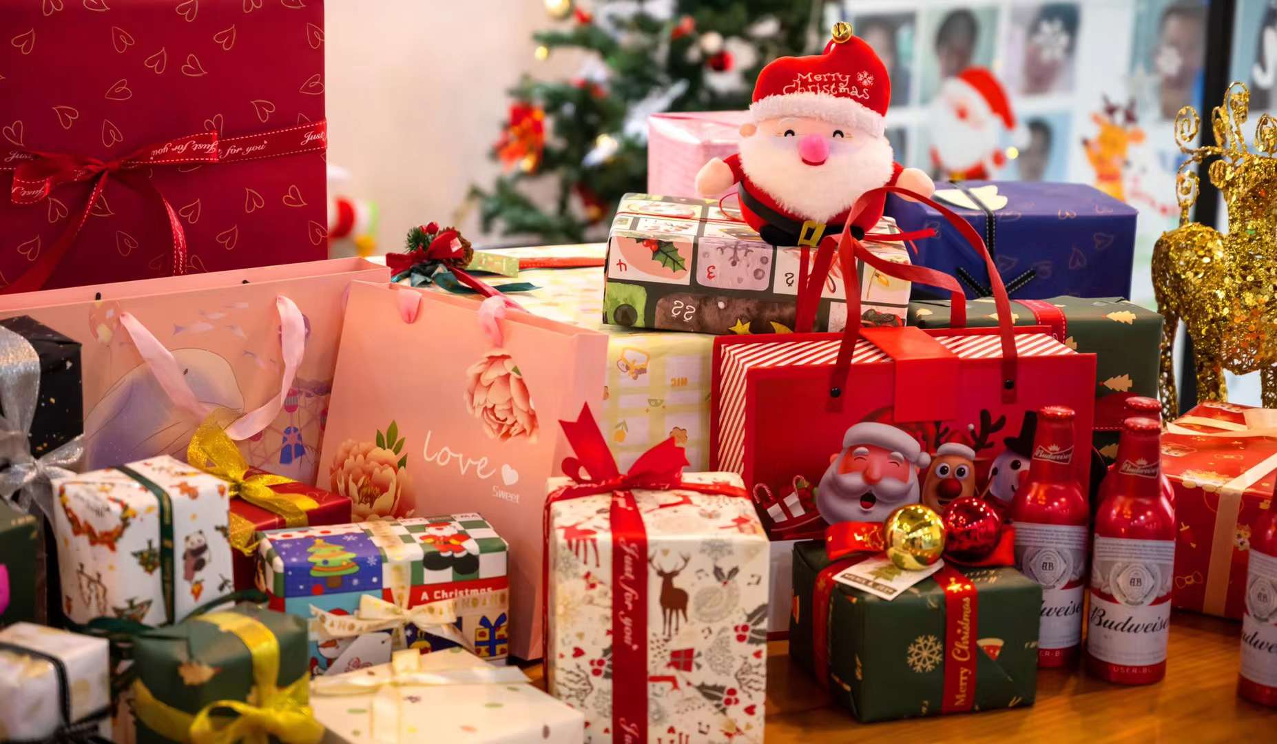 1703558557 COVNA STARK is held on Christmas Day