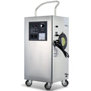 10g water treatment machine Industrial Ozone Generator air water ozone generator atmospheric use for Swimming pool, fish pond