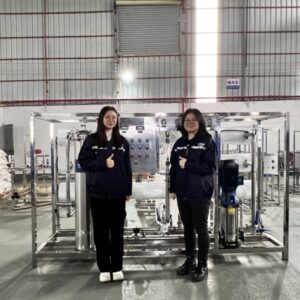 Stark 6000LPH stainless ssteel water treatment reverse osmosis pure water equipment