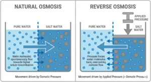 Industrial Reverse Osmosis Working Principle Diagram illustrating Osmotic Pressure vs Applied Pressure