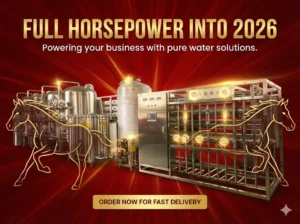 Chinese New Year holiday notice